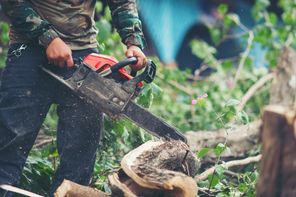 pruning saw as a beginner